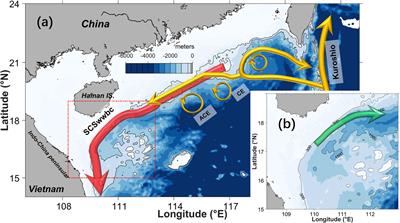 Slope Undercurrent in the Northwestern South China Sea Beneath the Winter Western Boundary Current